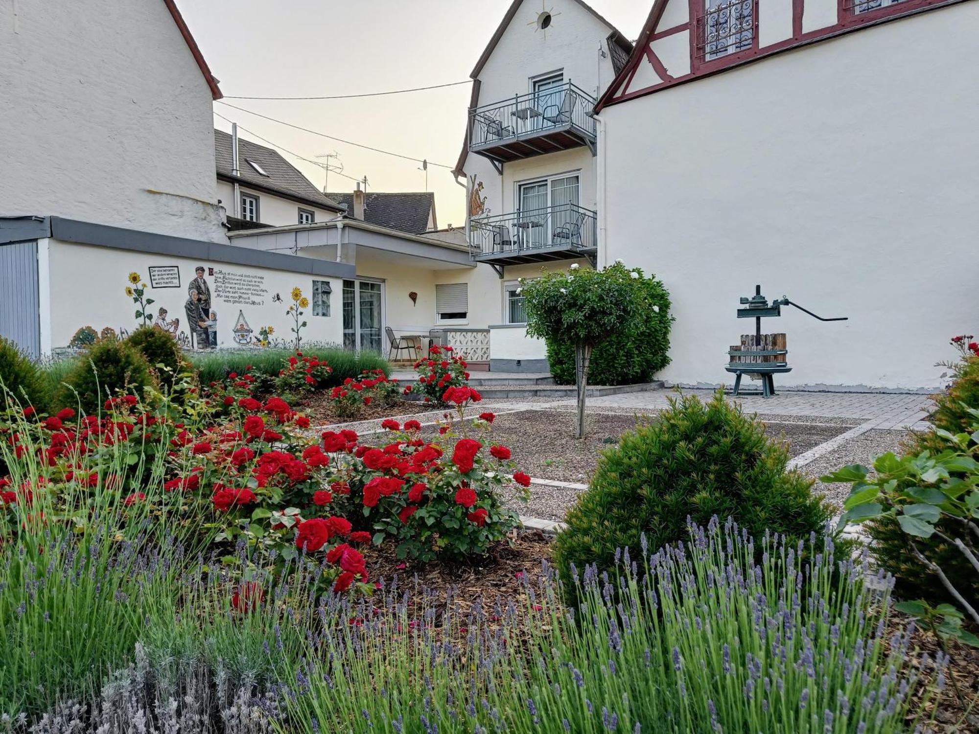 Ferienwohnung Moselstrand Briedern Exterior photo